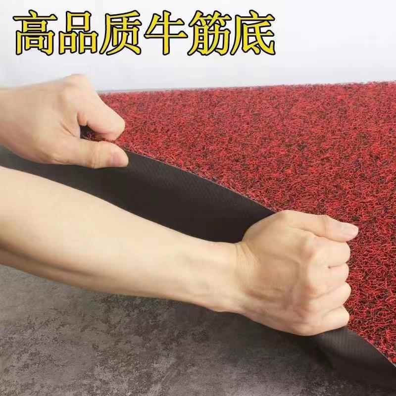 丝圈脚垫自由剪裁门口入门地垫塑料加厚防滑门厅地毯汽车脚垫定制