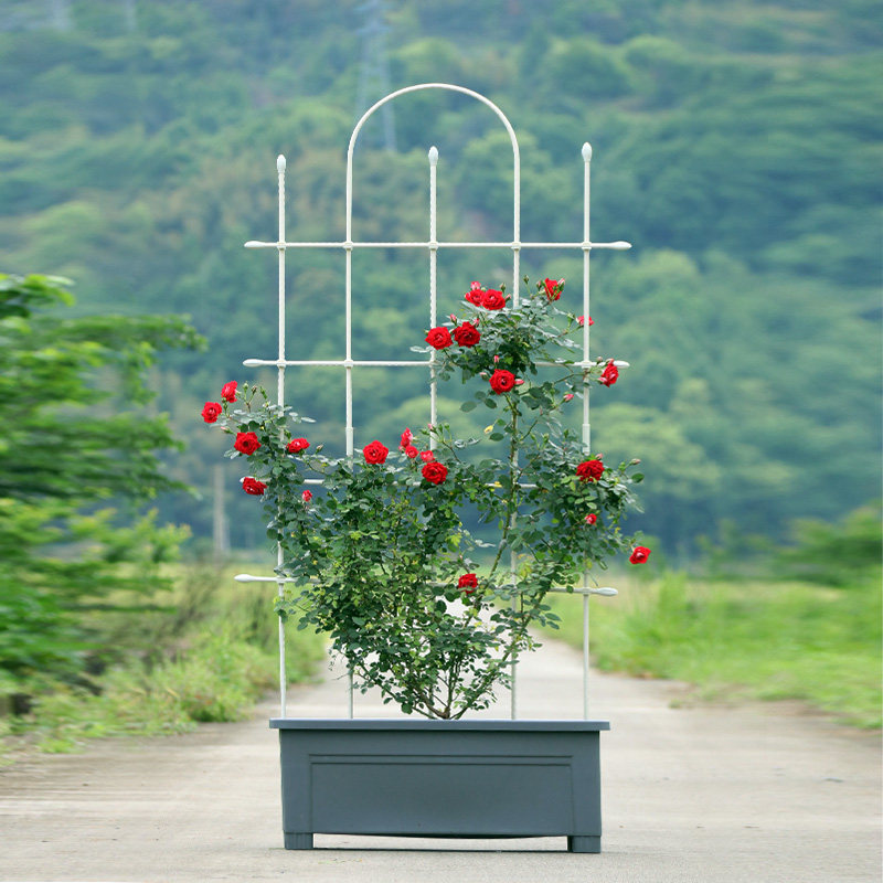 组装爬藤花屏花架月季铁线莲爬藤架黄瓜豆角支架牵牛花攀爬架,鲜花速递/花卉仿真/绿植园艺,花盆,淘宝优惠券,粉丝福利购,淘宝优惠卷