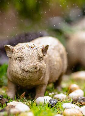 掬涵彷真小猪动物摆件可爱呆萌招财装饰品花园庭院景观桌面工艺礼