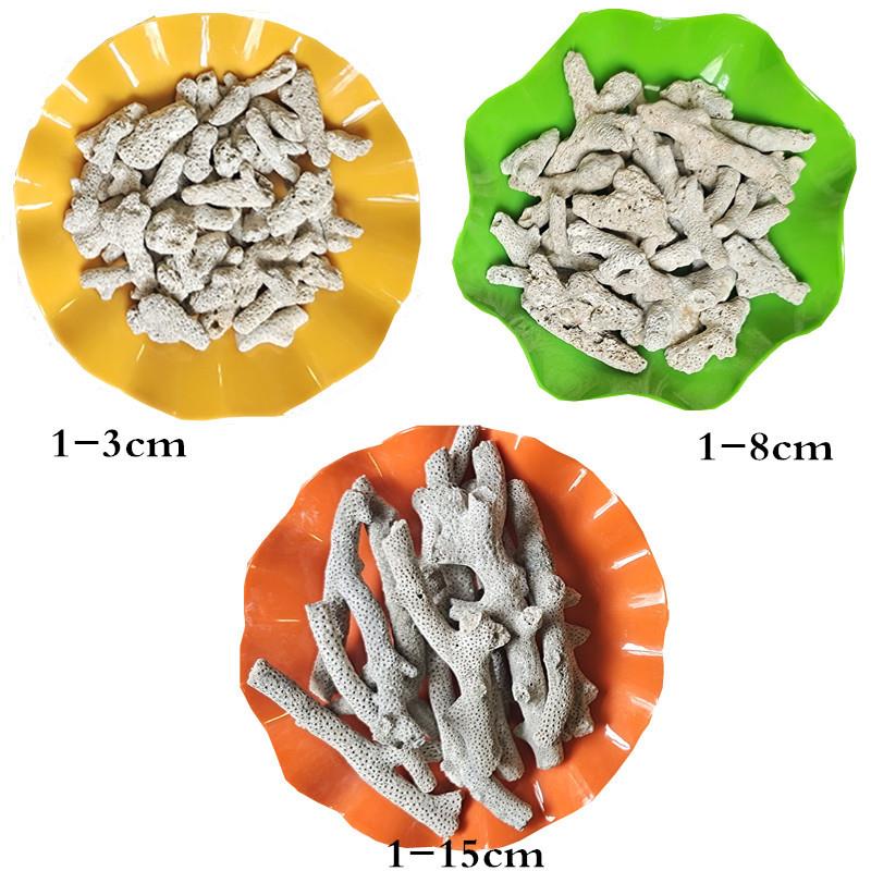 鱼缸过滤材料珊瑚骨 造景装饰净化水质珊瑚石 稳定PH值用珊瑚砂