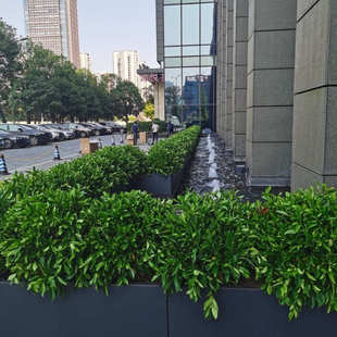 户外花箱外摆商业街售楼部广场隔断长方形花盆花架花池厂一件批发