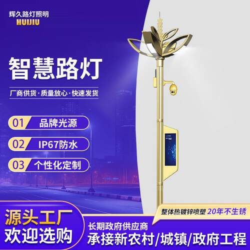 智慧路灯厂家智能灯带系统交通综合灯杆led户外金属照明灯超亮