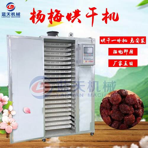 杨梅烘干机智能控温杨梅干杨梅果烘干箱小型树梅烘干机设备