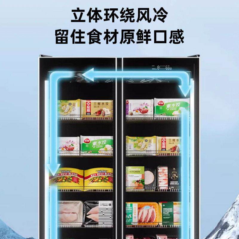 冰柜商用大容量冷藏保温柜家用超市啤酒保鲜双门式省电冷冻柜加工