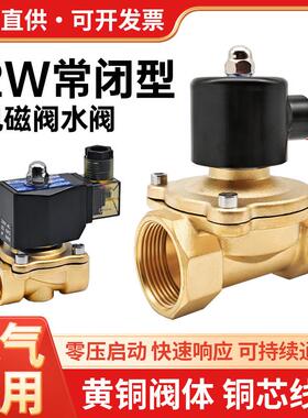 小型电磁阀水阀气阀控制阀2W160-15黄铜AC220V节能防水DN25常开20