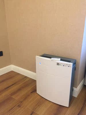 个人使用blueair空气净化器怎么样，良心大家告诉质量差不差