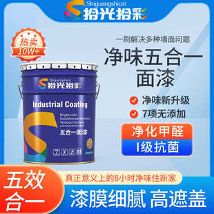 乳胶漆内墙防水涂料室内刷墙滚筒漆竹炭五合一抗甲醛旧墙翻新喷漆