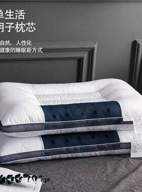 枕头立体磁石决明子荞麦 薰衣草学生单人双人枕头枕芯 护颈枕