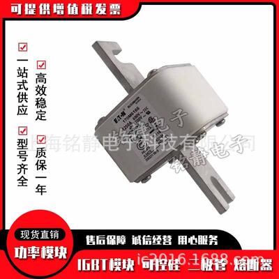 170M6063 170M6064 170M6065 170M6066巴斯曼熔断器