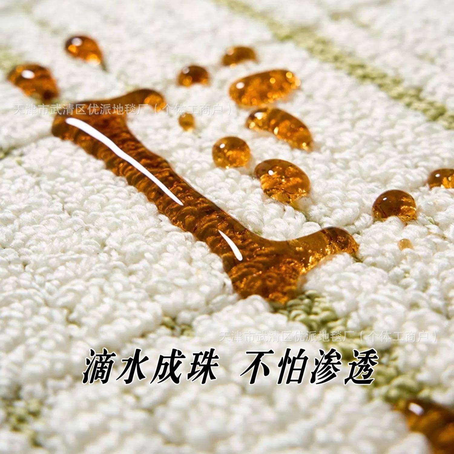 轻奢高级地毯客厅防水抗污卧室床前垫沙发茶几地垫简约满铺地垫