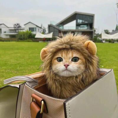Cute Lion Mane Cat Wig Hat Funny Pets Clothes Cap Fancy Part