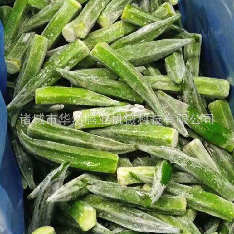 水果蔬菜风冷保鲜冷藏设备素食隧道速冻机秋葵速冻螺旋速冻机