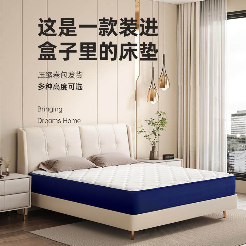 弹簧海家用卷包卧室RWB褥马软棉垫乳胶床床垫梦思盒席子酒店记忆