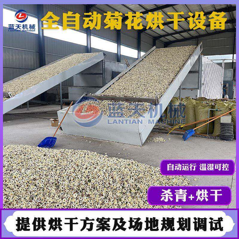 菊花烘干机 大型金丝皇菊贡菊甜叶菊干燥机 网带野菊花茶烘干设备