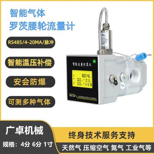 智能罗茨气体流量计管道电子气表天然气氮气氧气空气沼气温压补偿