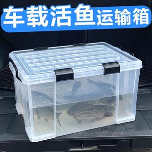 厂家直销户外车载后备箱活鱼运输水箱长方形密封条收纳钓鱼箱养鱼