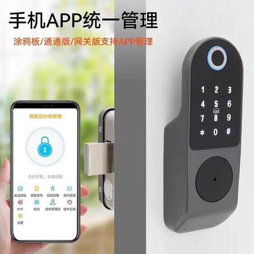 纹锁家用出租房刷卡电子能门锁牛头锁NS户外大门指码锁铁智门密老