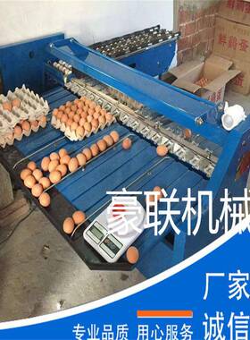 高效鸡蛋鸭蛋分级机/鸡蛋分选分拣机/自动选蛋机 产量5400枚/小时