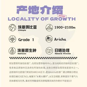 咖臣果香大爆炸 耶加雪菲阿瑞恰G1日晒浅中烘焙精品手冲咖啡豆150