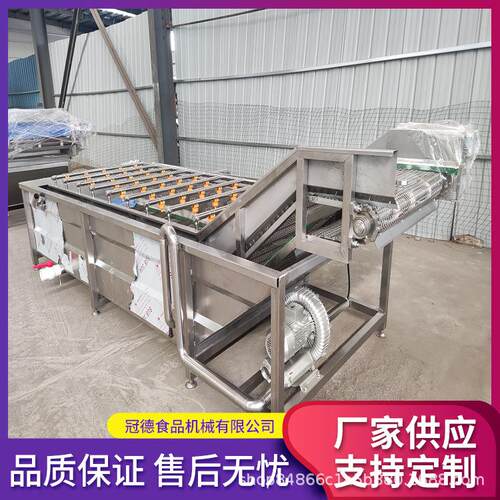 商用大型气泡果蔬洗菜机海鲜清洗机农产品肉类解冻设备生产厂家