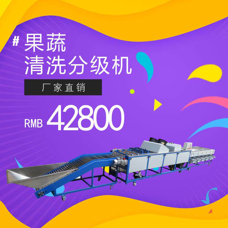 水果清洗设备果蔬浸泡池水洗分选机柑橘脐橙分级机