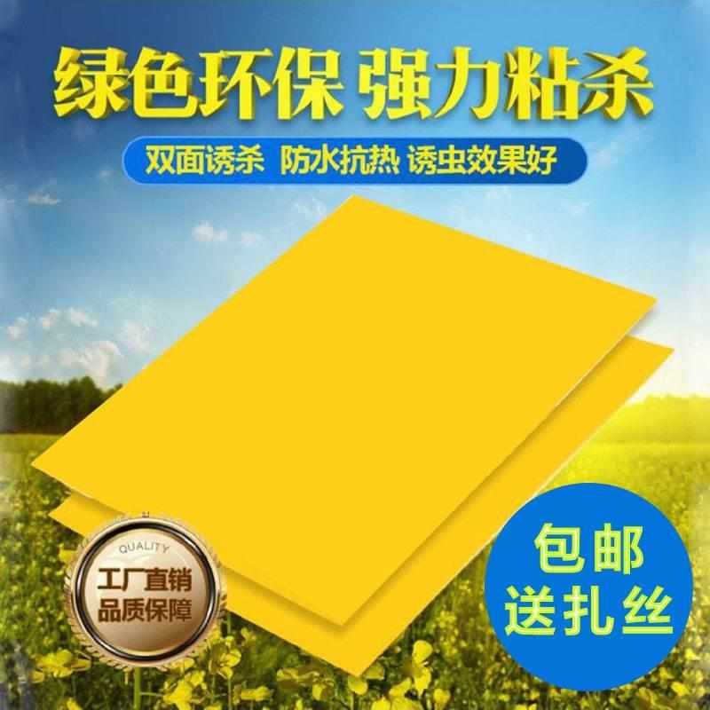 板板贴纸沾黄色果蝇诱莲雾菜园黏虫蓝板捕茶园粘虫双面黄大棚果树