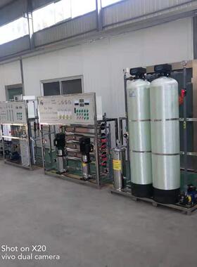 水生产设备反渗透车用尿素加工机器0.5吨双级水处理纯净水商用