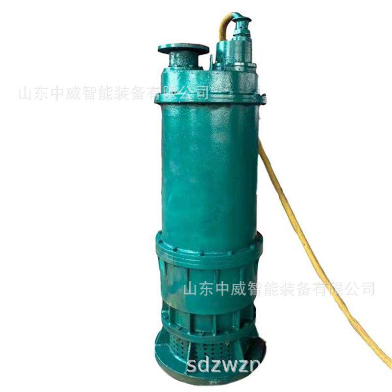煤矿井下排沙抽水泵 BQS190-180/3-160/N矿用隔爆型潜水排沙电泵