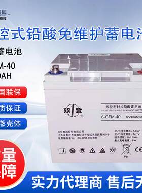 蓄电池6-GFM-40 密封阀控式铅酸蓄电池12V40AH 电脑监控UPS用
