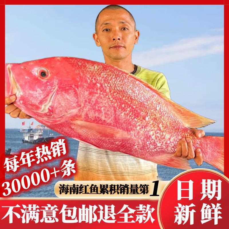 儋州大红色鱼干 干海南特产海鲜干 干货整条深海淡口咸鱼非湛江广