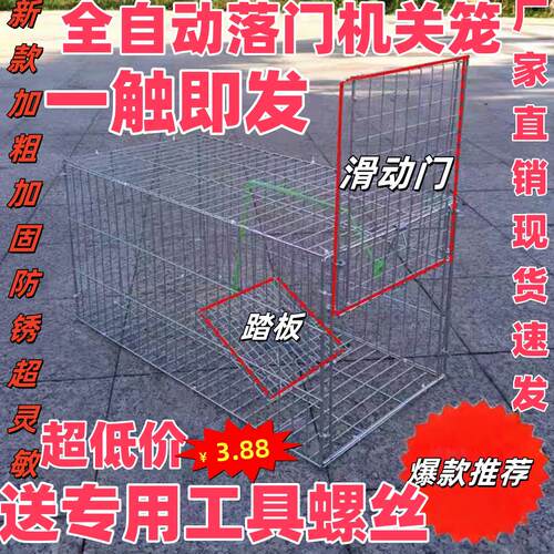 自动天落笼只进不出鸽子笼户外养殖笼镀锌防锈收纳笼收猫笼收鸡笼