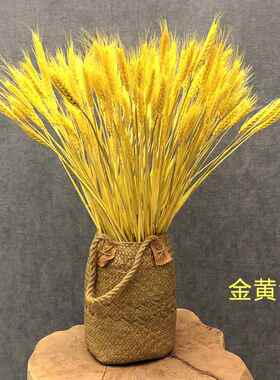 新款直销大麦干花花艺金黄色麦穗婚礼婚庆商场开业diy场地布置永