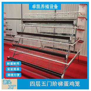 Q235钢阶梯蛋鸡笼 防啄羽耐腐耐用 通风采光好提高产蛋率尺寸可变