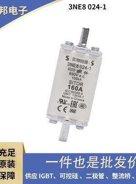 低压熔断器 保险丝3NE8024-1 3NE8022-1 3NE8021-1质量保障