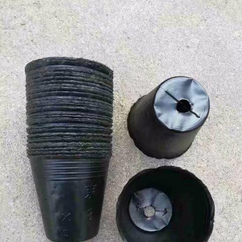 黑色塑料营养钵育苗杯一次性花盆育苗袋防老化营养杯整件