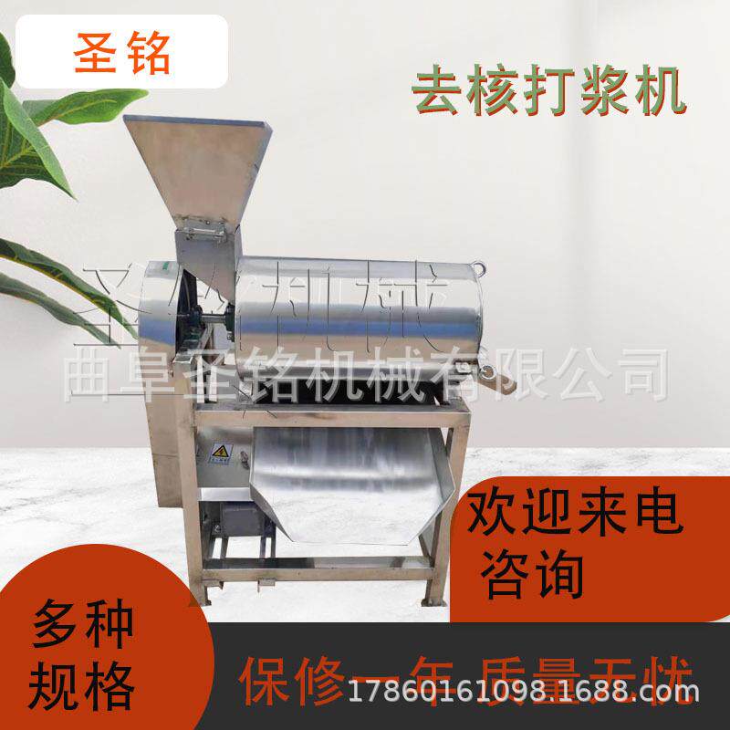 商用红豆绿豆去皮打浆机 芒果去皮去核打浆机 工业山楂打浆机