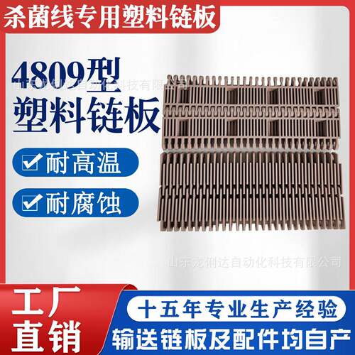 4809型塑料链板输送带传送带流水线杀菌线专用耐温耐酸食品级