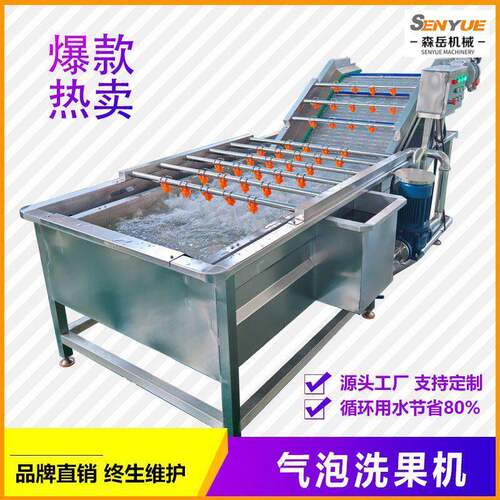 无花果气泡清洗机李子洗果机诸城工厂直供1年质保+终身售后不锈钢