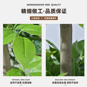 大型轻客厅仿生奢发财树植物幸福树室内装饰落地绿植假