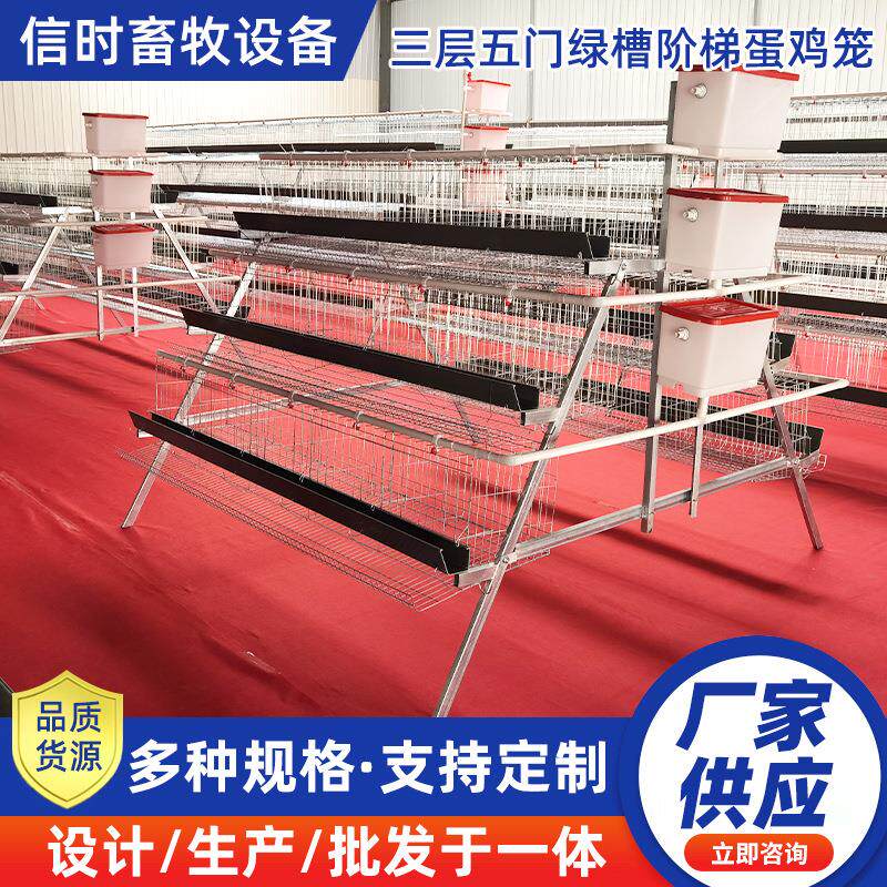 A型阶梯蛋鸡笼三层五门阶梯蛋鸡笼冷镀锌鸡舍家用养殖场源头厂家