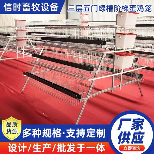 A型阶梯蛋鸡笼三层五门阶梯蛋鸡笼冷镀锌鸡舍家用养殖场源头厂家