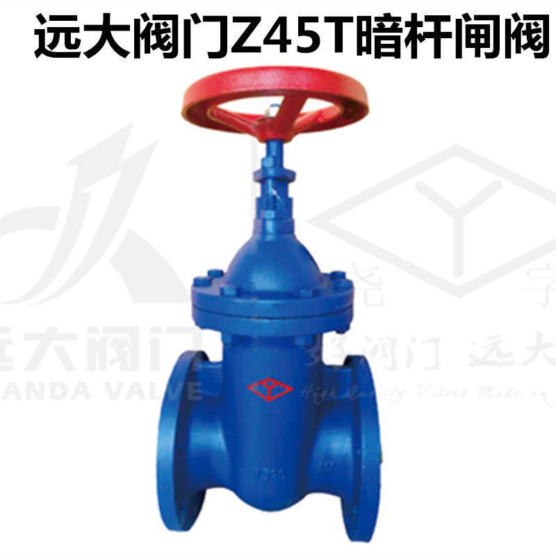 河北远大阀门Z45T-10/16水管铸铁暗杆楔式法兰铜芯闸阀DN40-1800