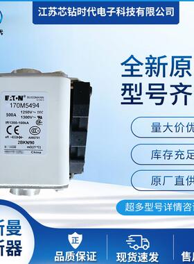 170M5497 170M5498 170M5499 巴斯曼BUSSMANN熔断器保险丝