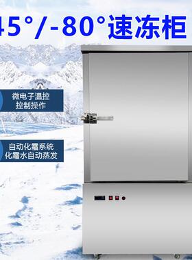 不锈钢速冻柜冬菇海龟商用低温速冻机海森鸡鸭鹅大型工业级冷冻柜