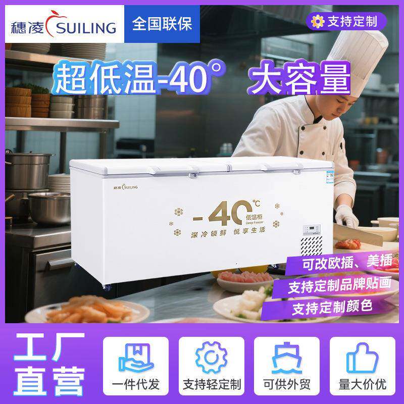 穗凌现货冰柜商用冷冻柜大容量单温商用冷藏保鲜卧式冰箱源头工厂
