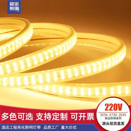 220V灯带led吊顶藏光线条灯户外防雨亮化照明高亮柔性软灯条2835