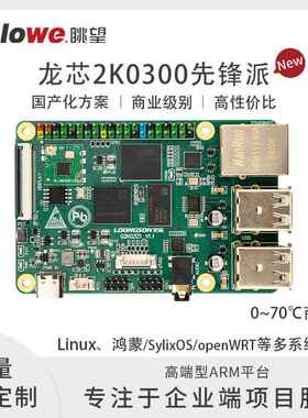 [官方]龙芯2K0300先锋派国产开发板/工控板/评估板LA架构单核鸿蒙