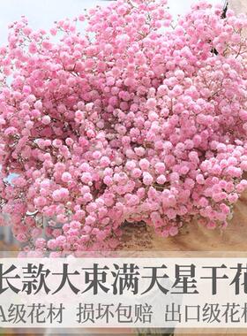 云南超大束满天星干燥花花束落地真花带花瓶天然风干客厅装饰摆件