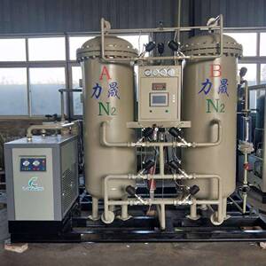 力晟PD-100型变压吸附制氮装置高纯度大型工业氮气机冶金制氮机