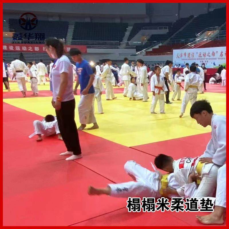 柔道垫子比赛训练专用榻榻米搏击武术散打跆拳道格斗摔跤柔术地垫